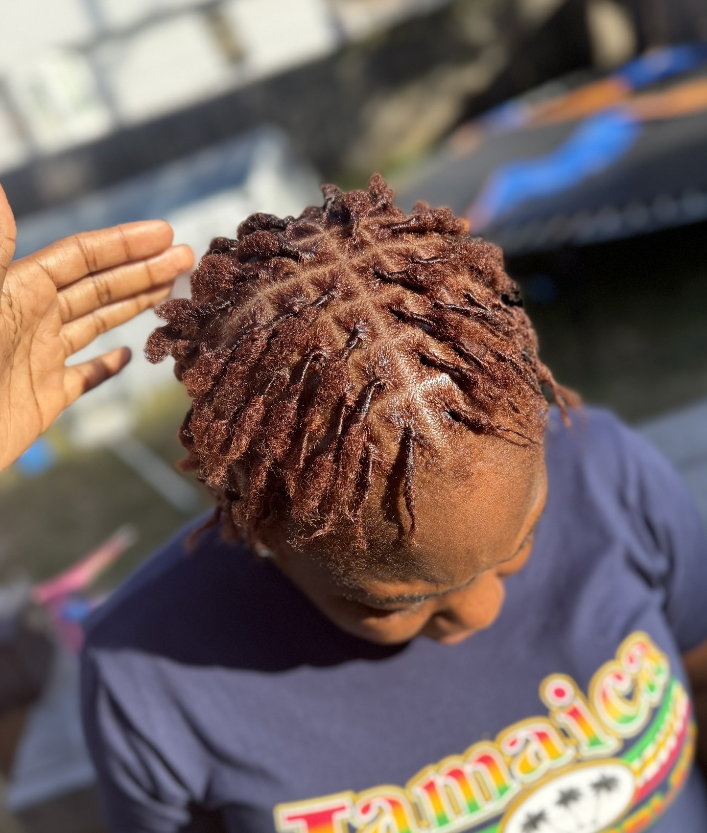 Starter Locs